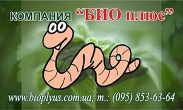 Компания  БИОПЛЮС продает  не дорого  маточное поголовье  червя